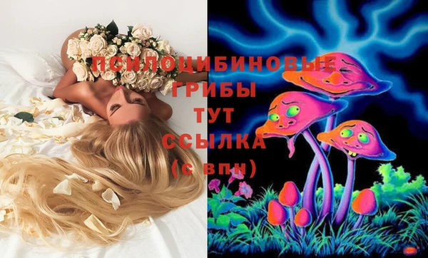 мяу мяу мука Бугульма
