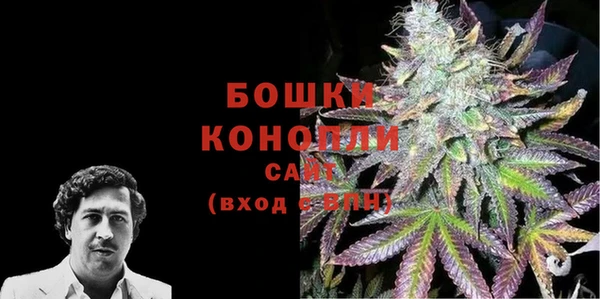 молекула духа Бронницы