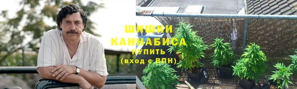 молекула духа Бронницы