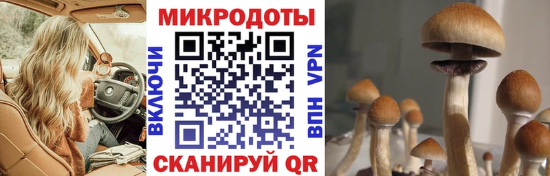 Галлюциногенные грибы прущие грибы  Купить закладки  Кольчугино 